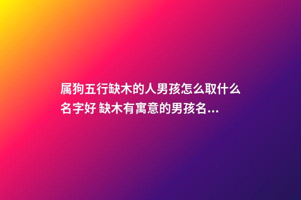 属狗五行缺木的人男孩怎么取什么名字好 缺木有寓意的男孩名字取名大全集有哪些